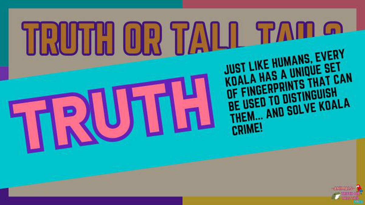 Animals: Truth or Tall Tail - Vol. 3 image number null